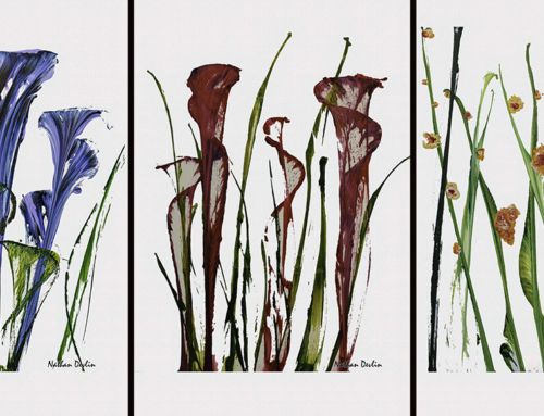 Flowers – My latest work